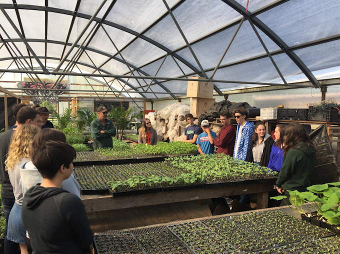 Horticultural Studies