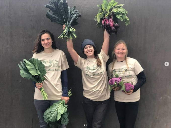 Farm Interns