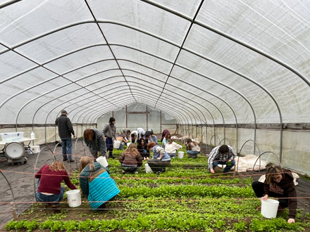 Butler Green Farm School - Community